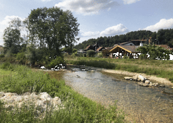 Etat réalisé (août 2021) - Tronçon dédié à la protection contre les crues. Suite aux mesures de protection contre les crues, la section d’écoulement a été augmentée, la berge droite légèrement rehaussé. Du point de vue de la biodiversité, la connectivité latérale a été restaurée (adoucissement des berges). La largeur et la profondeur de la Scheulte sont à nouveau variable et libre d’évoluer librement.