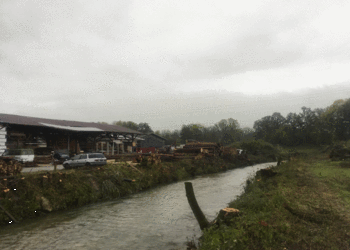 Etat initial (octobre 2019) - Tronçon dédiée à la protection contre les crues (après les travaux d’abattages). Le gabarit du cours d’eau est insuffisant et que son état morphologique peut être qualifié comme atteint (variabilité de la largeur : nulle, variabilité de la profondeur limitée, etc.)