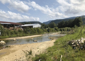 Etat réalisé (août 2021) - Tronçon dédié à la protection contre les crues. Suite aux mesures de protection contre les crues, la section d’écoulement a été augmentée, la berge droite légèrement rehaussé. Du point de vue de la biodiversité, la connectivité latérale a été restaurée (adoucissement des berges). La largeur et la profondeur de la Scheulte sont à nouveau variable et libre d’évoluer librement.