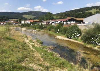 Etat réalisé (août 2021) - Tronçon dédié à la protection contre les crues. Suite aux mesures de protection contre les crues, la section d’écoulement a été augmentée, la berge droite légèrement rehaussé. Du point de vue de la biodiversité, la connectivité latérale a été restaurée (adoucissement des berges). La largeur et la profondeur de la Scheulte sont à nouveau variable et libre d’évoluer librement.