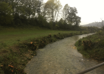 Etat initial (octobre 2019) - Tronçon dédiée à la protection contre les crues (après les travaux d’abattages). Le gabarit du cours d’eau est insuffisant et que son état morphologique peut être qualifié comme atteint (variabilité de la largeur : nulle, variabilité de la profondeur limitée, etc.)