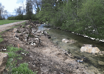 Grande quantité de blocs (enrochements) située en berge gauche de la Scheulte. La suppression de ces structures permettra au cours d’eau d’évoluer plus librement et de créer au fur et à mesure des crues une diversité de milieux, aquatiques et terrestres, favorable à la biodiversité.