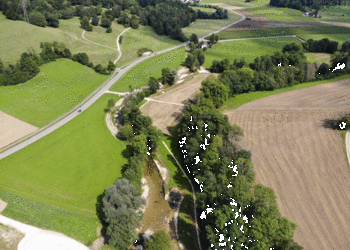 Etat 1 an après travaux (août 2021) - Morphologie de la Scheulte sur le secteur à revitaliser.