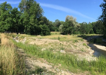 Etat 1 an après travaux (juin 2020) – Vue sur la nouvelle embouchure du ruisseau du Gondou dans la Venoge et le lit majeur de cette dernière en arrière-plan.  