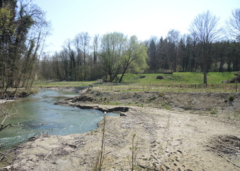 Etat 6 mois après travaux (avril 2020) – L’action érosive de la Venoge est déjà bien visible sur les terrasses basses.