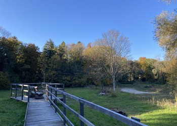 Etat 2 ans après travaux (octobre 2021) – La vue depuis la plateforme d’observation est très prisée par les promeneurs. Un succès pour la tranquillité du reste du site.