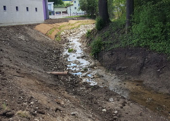 Travaux (juillet 2020) - Suppression du mur et aménagement mixte de la berge (enrochement et lit de plants)
