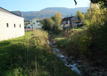 Etat réalisé 1 an après travaux (octobre 2021) - Développement de la végétation