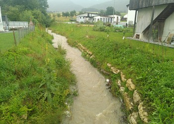 Etat réalisé 1 an après travaux (juin 2021) - Développement des semis et des plantations