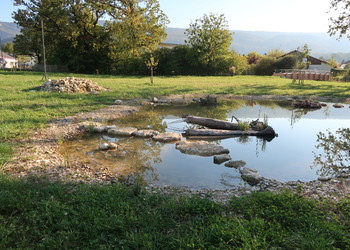 Etat réalisé 1 an après travaux (octobre 2021) - Aménagement d'une mare avec plusieurs structures pour accueillir la faune