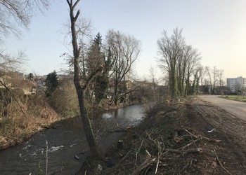 Travaux (février 2021) - Travaux forestiers en cours