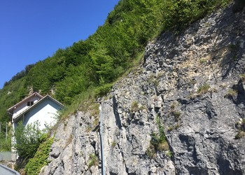 Milieu favorable en tête de falaise.