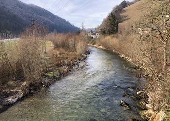 Etat réalisé (janvier 2022) – Morphologie de la Birse 6 ans après les travaux