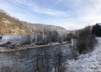 Etat réalisé (janvier 2022) – Morphologie de la Birse 6 ans après les travaux : une végétation typique des cours d’eau s’est développée sur la berge gauche, sur une dizaine de mètre de largeur et la connectivité latérale a été améliorée. 
