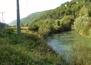 Etat initial (septembre 2013) – morphologie de la Birse avant travaux. 