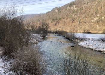 Etat réalisé (janvier 2022) – Morphologie de la Birse 6 ans après les travaux : une végétation typique des cours d’eau s’est développée sur la berge gauche, sur une dizaine de mètre de largeur et la connectivité latérale a été améliorée. 