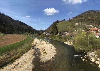 Etat réalisé (mars 2017) - Reprise de la végétation 1 an après les travaux, et notamment des ouvrages de génie biologique située en berge droite.