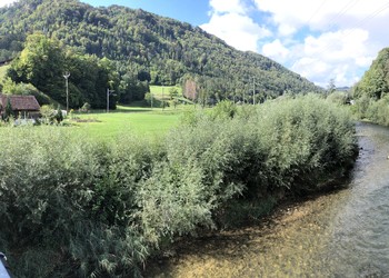 Etat réalisé (septembre 2020) – Morphologie de la Birse 4 ans après les travaux