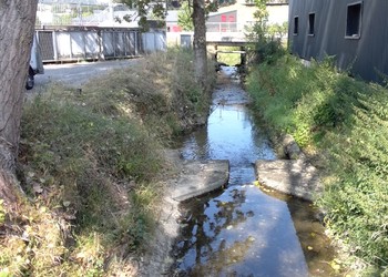 Etat initial (août 2018) – morphologie du cours d’eau dans le secteur aval (patinoire) : gabarit hydraulique limité, qualité morphologie du lit très faible, berges abruptes et absence de milieux naturels typiques