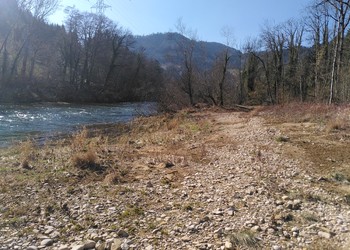 Etat réalisé (février 2022) – État 2 ans après travaux : tel que défini par le plan de gestion, les peuplements à bois tendre reviennent naturellement sur les terrasses basses 