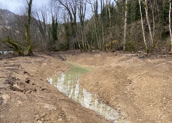 Travaux (janvier 2020) – terrassement d’une dépression forestière afin d’augmenter les milieux à caractère humide