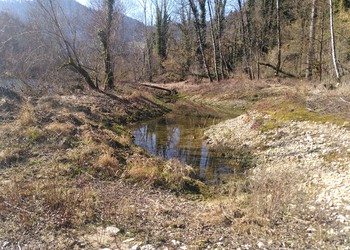 Amélioration des berges du Doubs dans le cadre du plan de gestion des zones alluviales