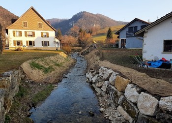 Etat réalisé (mars 2022) – plantation des berges avec des buissons