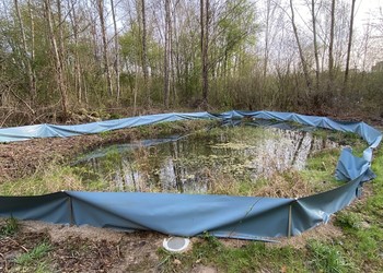 Les barrières temporaires en bâche sont posées tout autour des étangs afin de capturer les amphibiens s’y dirigeant.