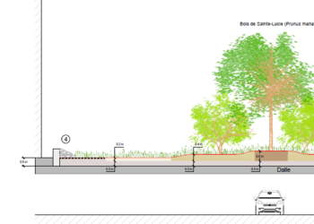 Le projet prévoit la création d’une prairie fleurie avec un bosquet buissonnant et des microstructures de type murgiers (projet d’ouvrage).