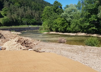 Etat réalisé (juin 2022) – secteur amont, rive gauche : aménagement de diversification de la berge et du lit et aperçu de la terrasse alluviale