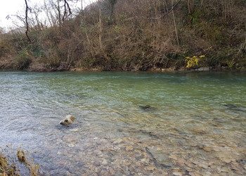 Etat initial (décembre 2021) – secteur amont, rive droite