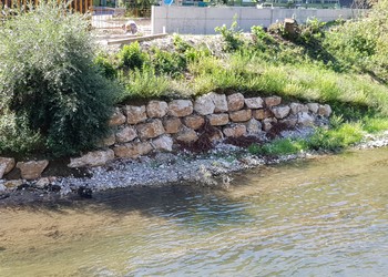 Etat réalisé (juin 2022) – secteur à la hauteur de la STEP, rive droite : mesure de stabilisation après reprise des végétaux