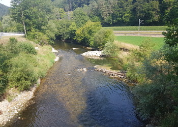 Etat réalisé (juillet 2022) – secteur aval : morphologie de la Birse après la réalisation des mesures de stabilisation et de protection de la berge gauche
