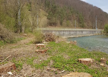 En travaux (avril 2022) – secteur amont, rive gauche : abattage