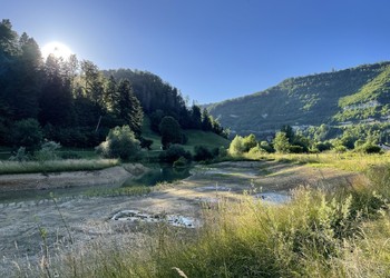 Etat réalisé (juin 2022) – 10 mois après les travaux, la végétation commence à bien se développer. Les boutures sur la zone alluviale du bras mort ont bien supporté la sécheresse et se développent rapidement. 