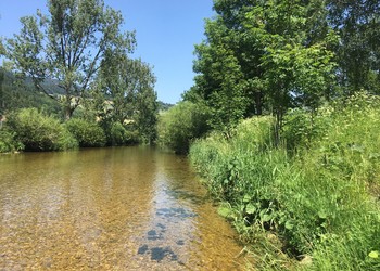 Etat initial (juin 2019) – Areuse