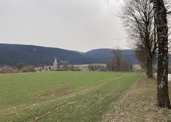 Etat initial (mars 2022) – Bied de Môtiers : Champ exploité intensivement à l’emplacement des futurs chenaux