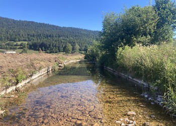 Travaux (juillet 2022) – Bied de Môtiers : Suppression des stabilisations de pied de berges