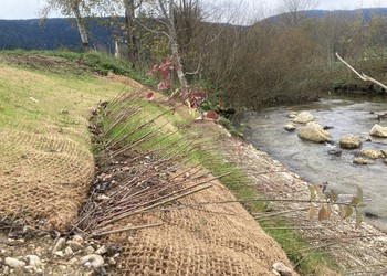 Etat réalisé (novembre 2022) – Protection de certains pieds de berges contre l’érosion avec des techniques de génie biologique