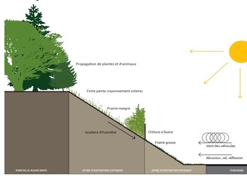 Les espaces verts sont les zones au-delà des secteurs d’entretien intensif dit sécuritaire. ©ASTRA 88007