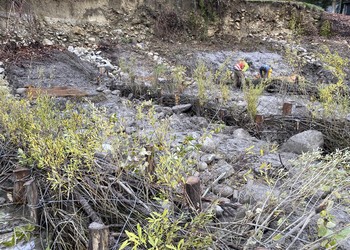 Travaux (novembre 2022) – Epis en cours de réalisation