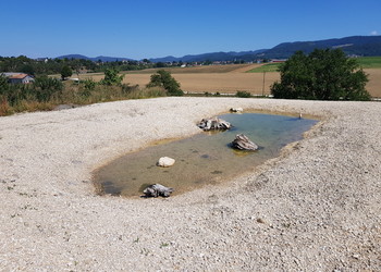 Etat réalisé (août 2022) - Maintien en eau des mares lors de l’été chaud et sec de 2022