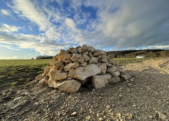 Etat réalisé (mars 2023) – Murgier favorable aux micromammifères ainsi qu’aux reptiles notamment