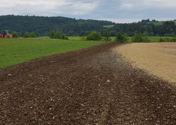 Travaux (juin 2022) - Implantation de la bande herbeuse tampon de séparation le long de la zone agricole intensive qui borde la zone des mares