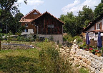 Etat réalisé (juillet 2023) – La Fenatte: le mur en rive droite a été remplacé par une berge végétalisée