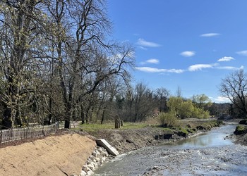 Travaux (avril 2022) - Après la suppression du seuil/barrage de Certoux, mais avant le rééquilibrage naturel de la rivière: elle pourrait à cet endroit s’abaisser d’environ 2 m.