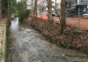 Etat initial (janvier 2016) – A gauche rive gauche et à droite rive droite : murs et berges abruptes