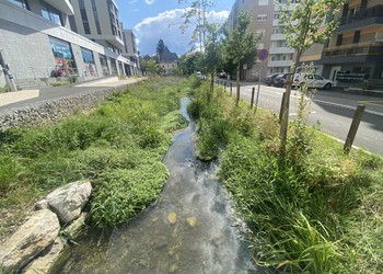 Etat réalisé (juillet 2023) – 3 ans après travaux (à gauche rive gauche et à droite rive droite)