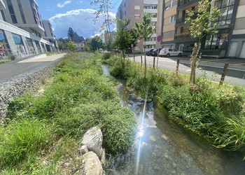 Etat réalisé (juillet 2023) – 3 ans après travaux (à gauche rive gauche et à droite rive droite)