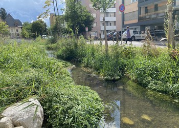 Etat réalisé (juillet 2023) – 3 ans après travaux (à gauche rive gauche et à droite rive droite)